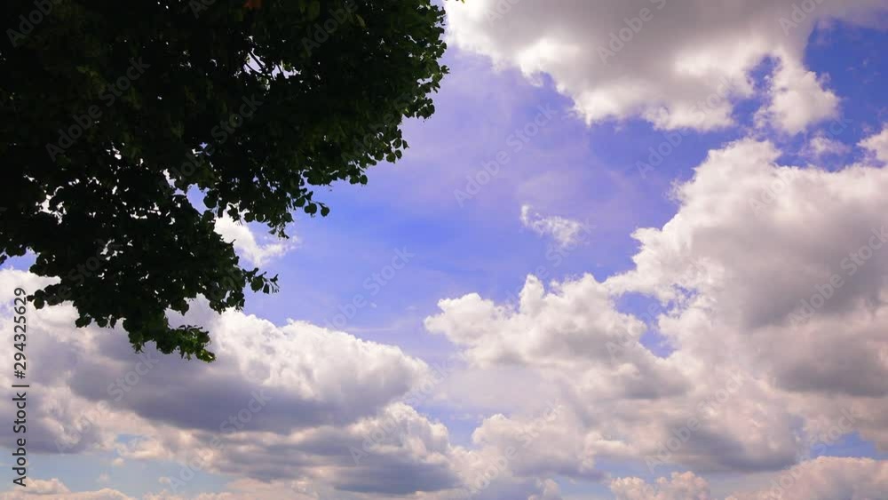 Baum mit Himmel 01 Baum mit Himmel 01