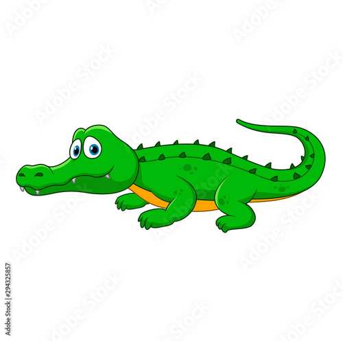 Cartoon crocodile on white background