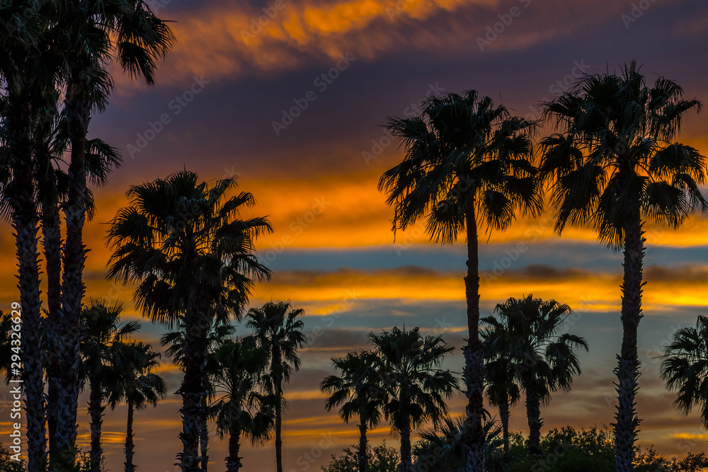 Dramatic vibrant sunset scenery in Donna Victoria Palms RV Resort, Texas
