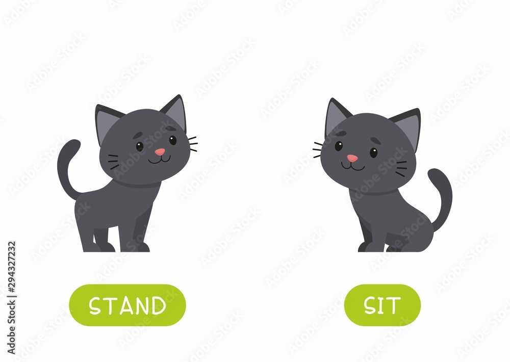Educational word card with antonyms vector template. Flash card for english language learning with cute kitten. Opposites concept, stand and sit. Adorable black cat flat illustration with typography