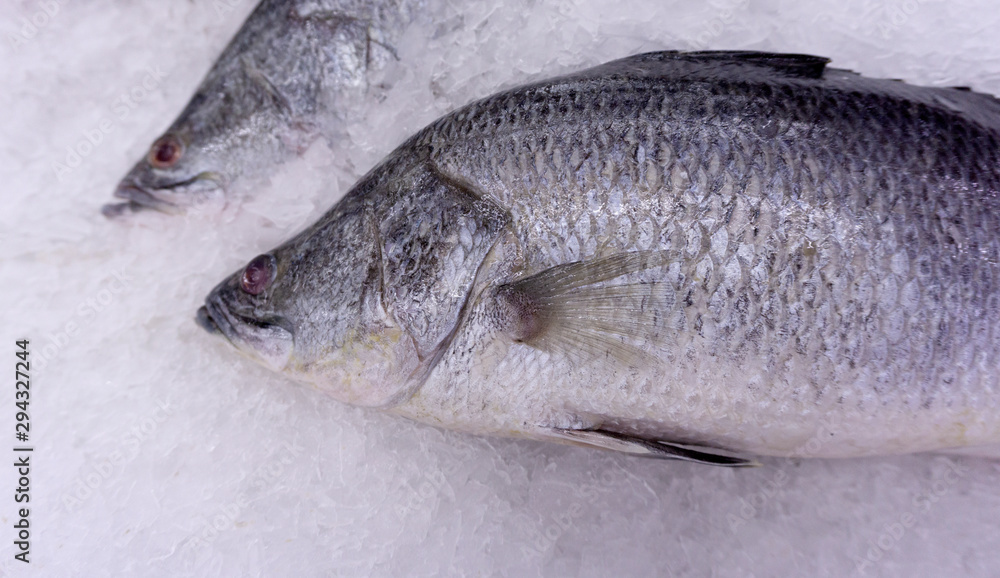 Fish Sea bass on ice at Supermarket, Ingredients for cooking, food concept. .