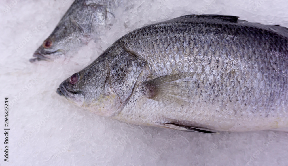 Fish Sea bass on ice at Supermarket, Ingredients for cooking, food concept. . Fish Sea bass on ice at Supermarket, Ingredients for cooking, food concept. .