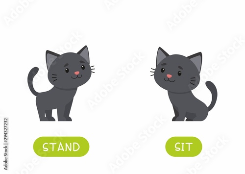 Educational word card with antonyms vector template. Flash card for english language learning with cute kitten. Opposites concept, stand and sit. Adorable black cat flat illustration with typography