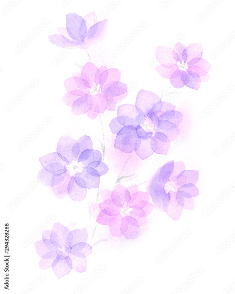 淡い青紫の花　水彩イラスト