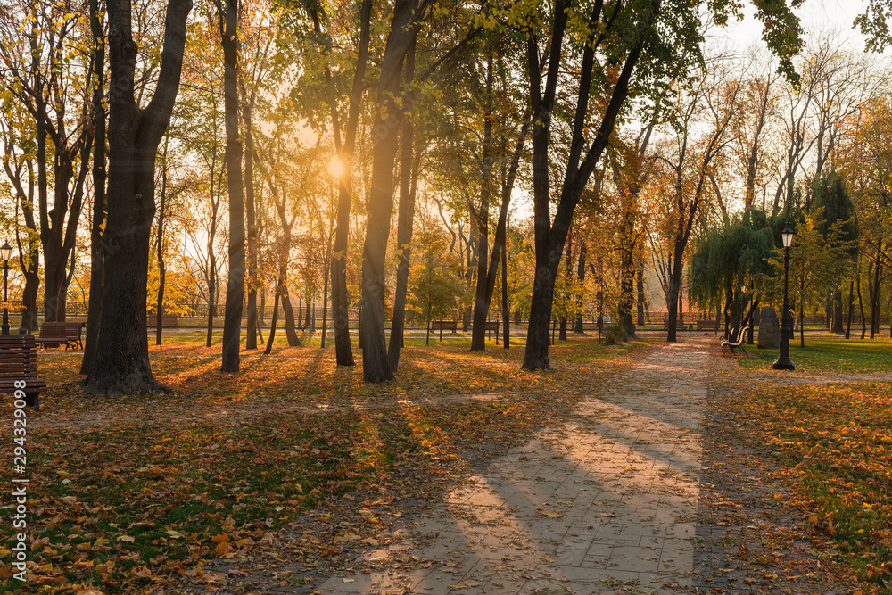 Autumn park with alleys in the beams of rising sun