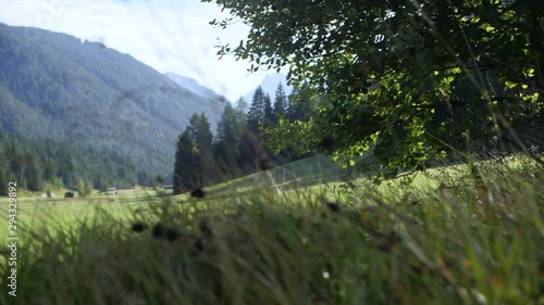 View through a lawn in Austria in Seefeld photo