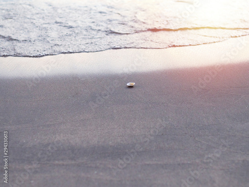 Shells on the sand being blown into the sea. This indicates that in the sea there are sea creatures. Live less photo