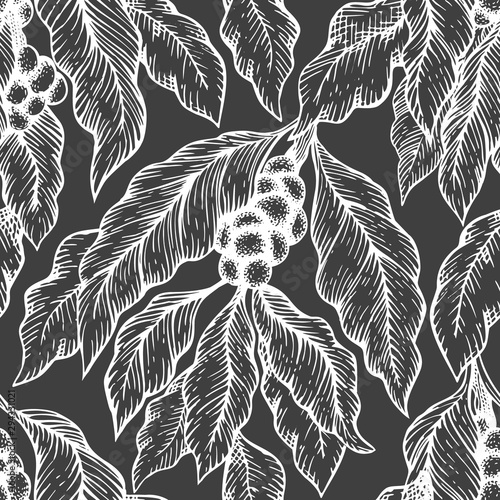 Coffee tree branch seamless vector pattern. Vintage coffee background. Hand drawn engraved style illustration on chalk board.