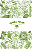 Green vegetables design template. Hand drawn vector food illustration. Engraved style vegetable banner. Retro botanical banner.