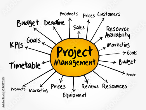 Project management mind map, business concept for presentations and reports