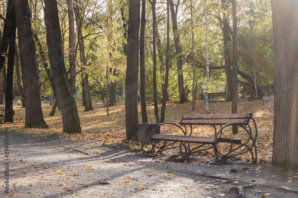 A bench in an old city autumnal park