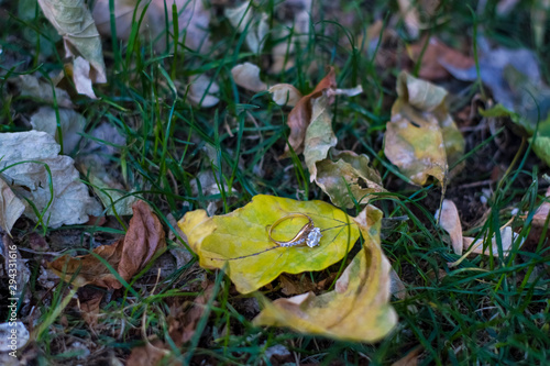 2.10.2019. Kiev. In the grass with autumn leaves lies a gold engagement ring amid yellow flashlights. Garland. © Vlada