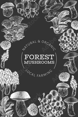 Mushroom design template. Hand drawn vector food illustration on chalk board. Engraved style. Vintage mushrooms different kinds background.