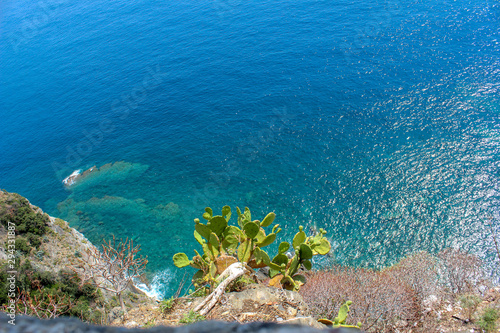 Guardando il mare vegetazione mediterranea
