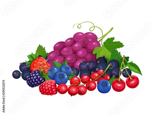 ripe berries banner