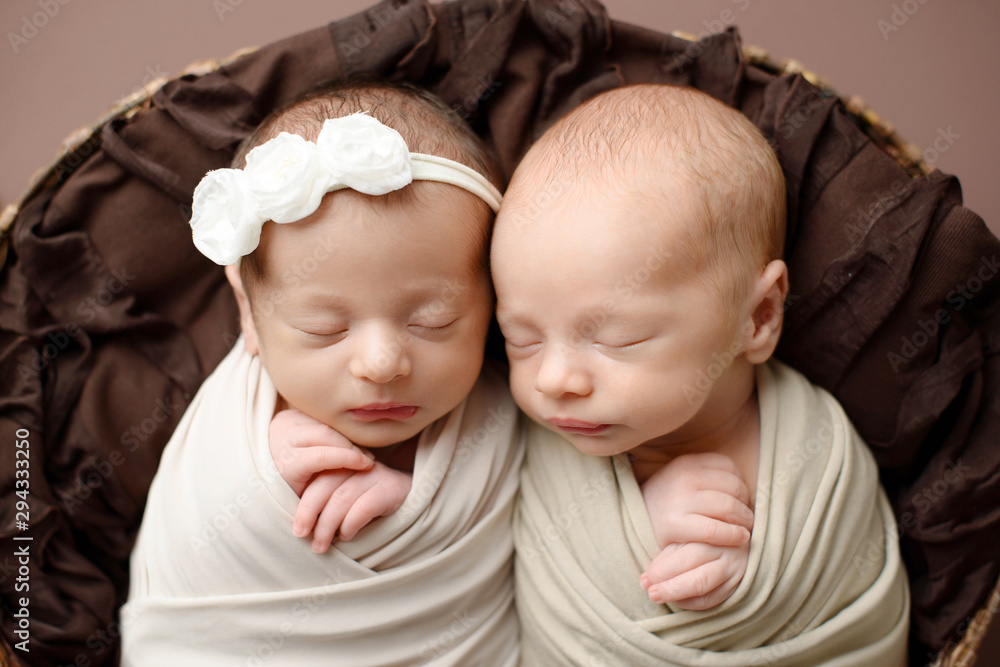 The sleeping Newborn gilr and boy lies in the basket. Newborn twins on brown background The sleeping Newborn gilr and boy lies in the basket. Newborn twins on brown background
