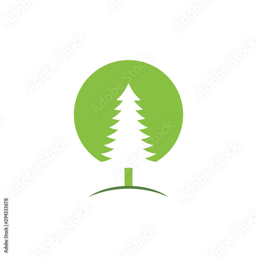 Cedar tree graphic design template vector isolated