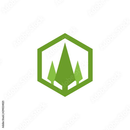Cedar tree graphic design template vector isolated