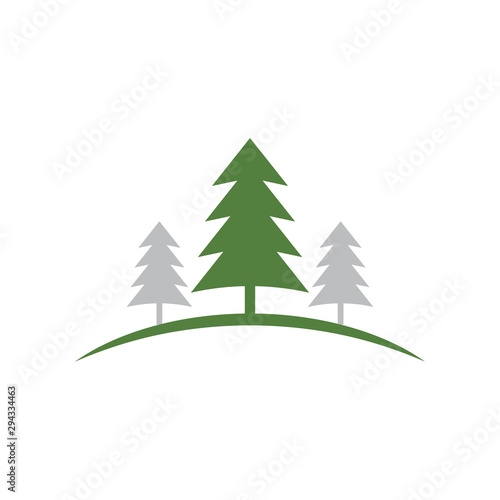 Cedar tree graphic design template vector isolated