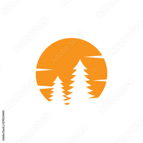Cedar tree graphic design template vector isolated