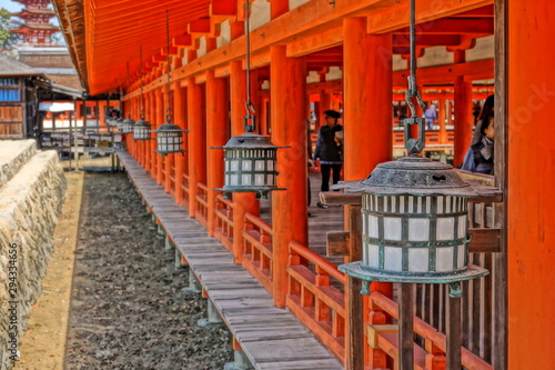 torii gate in myajima japan