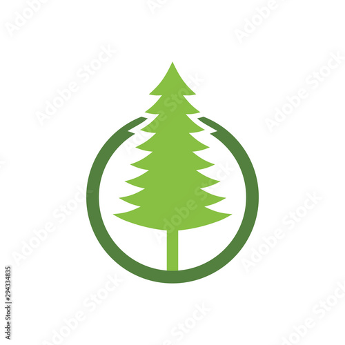 Cedar tree graphic design template vector isolated