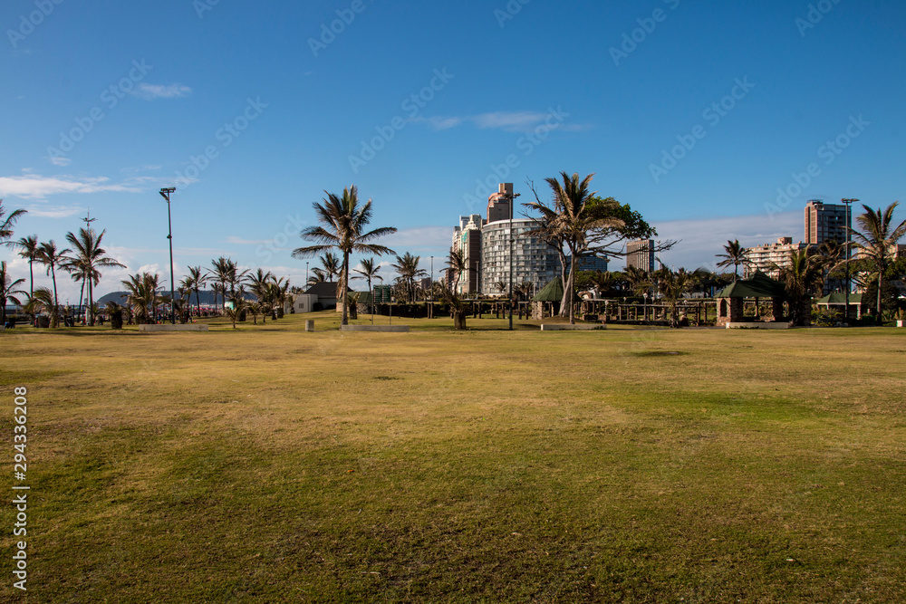 Green Grass and Palm  Trees near Hotels