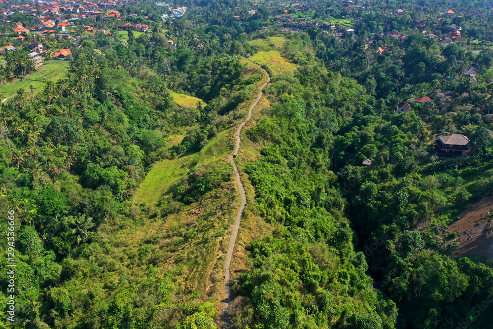 Road in the forest, Ubud, Bali.