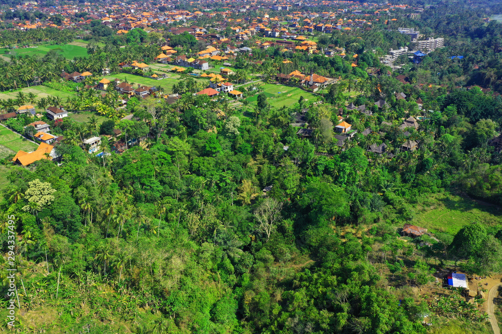 Aerial view of Ubud Village, Bali.