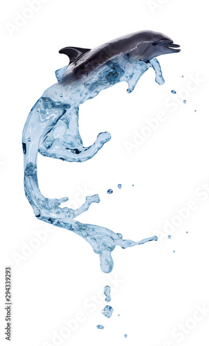 Fotografia, Obraz doplhin from blue water in jump