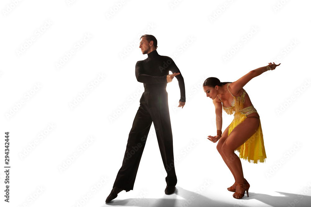 Obraz premium Ballroom dancing isolated on white.