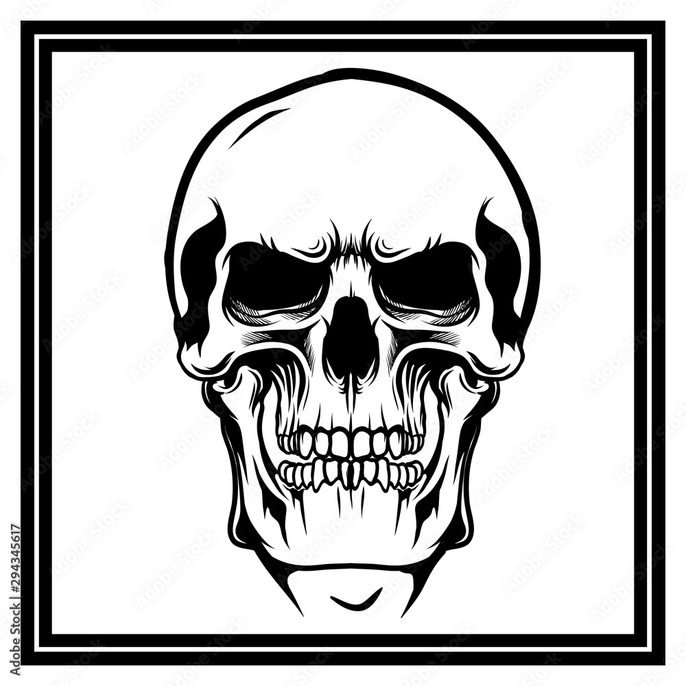 Fototapeta premium skull retro,vintage,detail hand drawing