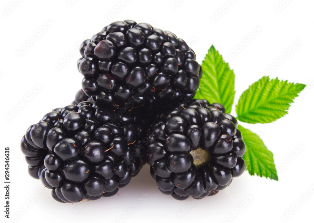 Fresh blackberry on white background - obrazy, fototapety, plakaty 