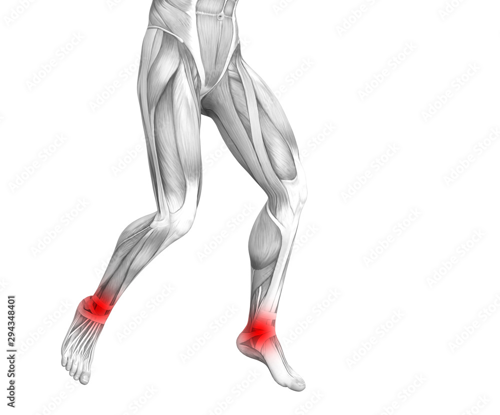 Conceptual ankle human anatomy with red hot spot inflammation or articular joint pain for leg health care therapy or sport muscle concepts. 3D illustration man arthritis or bone osteoporosis disease Conceptual ankle human anatomy with red hot spot inflammation or articular joint pain for leg health care therapy or sport muscle concepts. 3D illustration man arthritis or bone osteoporosis disease