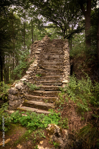 stairs in forest