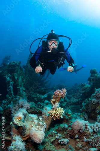 Scuba Diver explores  coral reef . © frantisek hojdysz