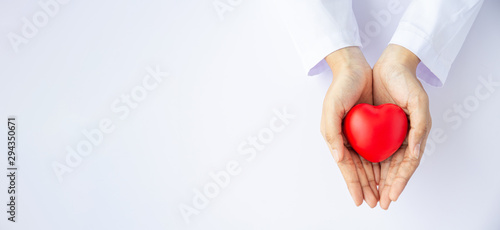 Woman doctor hands holding red heart on wide white background donate for hospital care concept. Panoramic world heart day and world health day, CSR community, foster support patient.