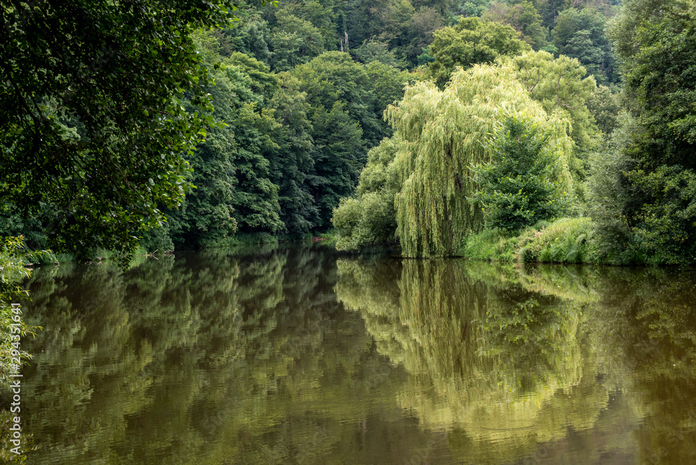 trees and bushes with green leaves reflecting on the surface of the river trees and bushes with green leaves reflecting on the surface of the river