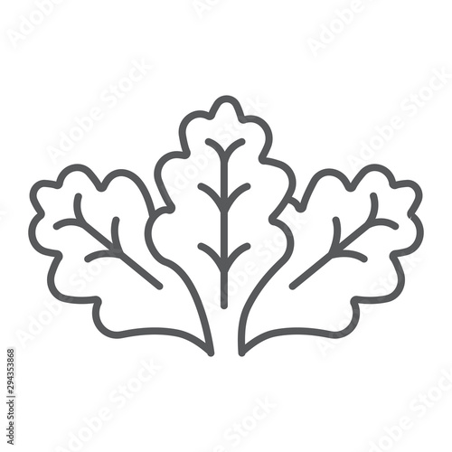 Lettuce thin line icon, vegetable and organic, salad sign, vector graphics, a linear pattern on a white background.