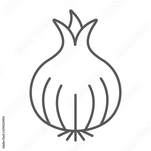 Onion thin line icon, organic and vegetable, vegetarian food sign, vector graphics, a linear pattern on a white backgrond.