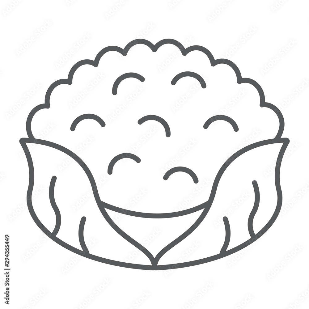 Cauliflower thin line icon, food and organic, vegetable sign, vector graphics, a linear pattern on a white backgrond. Cauliflower thin line icon, food and organic, vegetable sign, vector graphics, a linear pattern on a white backgrond.