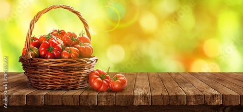 Basket of fresh, red tomatoes and garden