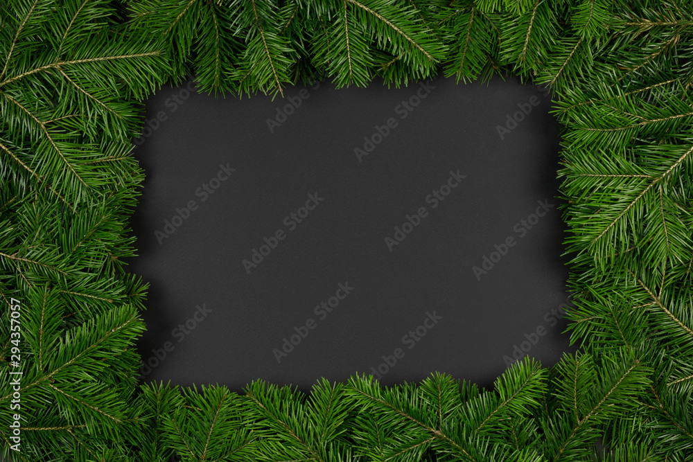 Pine branches on black paper Pine branches on black paper
