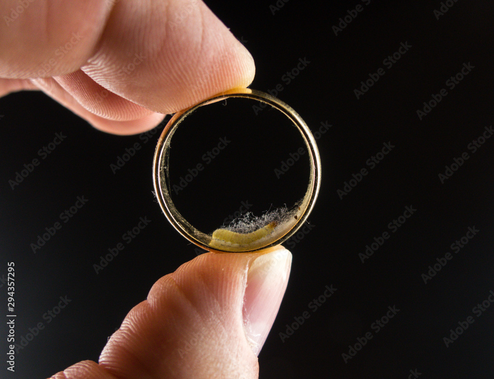The concept of a marriage crisis. A wedding ring with a larva in a butterfly inside The concept of a marriage crisis. A wedding ring with a larva in a butterfly inside