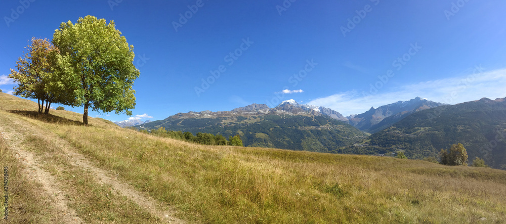 Obraz premium panoramic view on range alpine mountain from a path in a meadow