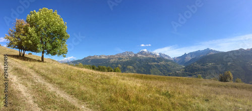 panoramic view on range alpine mountain from a path in a meadow