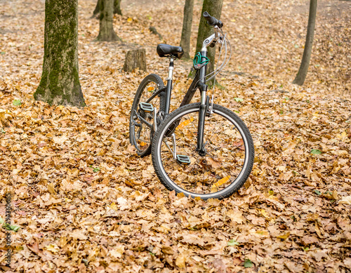 Walking bike stands on the footboard in the autumn forest Park among the fallen leaves © maxoidos