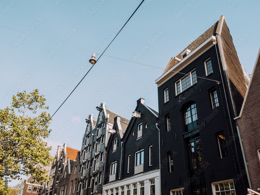 Obraz premium Traditional Houses in Amsterdam