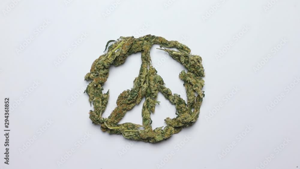 Timelapse. Makes sign a pacific from the flowers of medical marijuana Timelapse. Makes sign a pacific from the flowers of medical marijuana