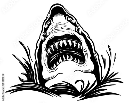 Dangerous scary shark in the waves